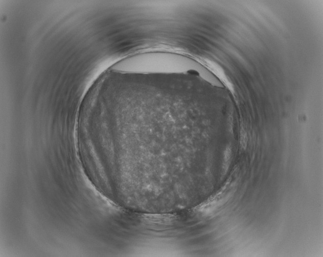 X0000087060863200705091159