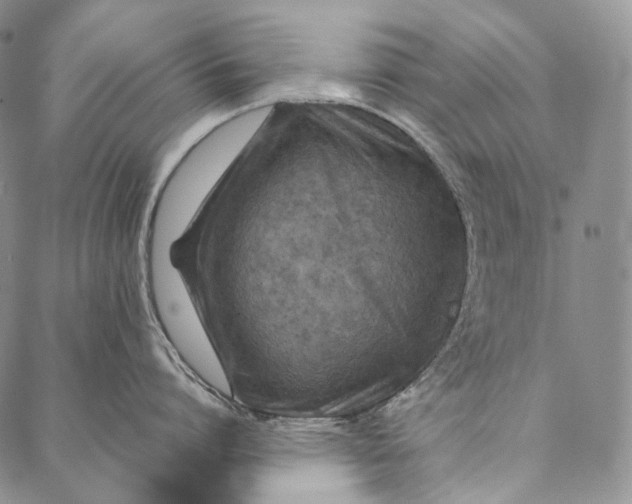 X0000087060864200705091159