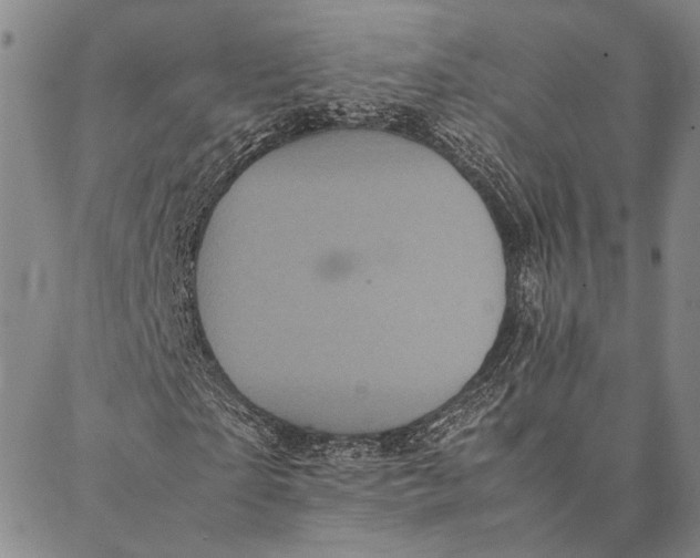 X0000087060865200705091158