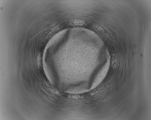 X0000087060866200705091158