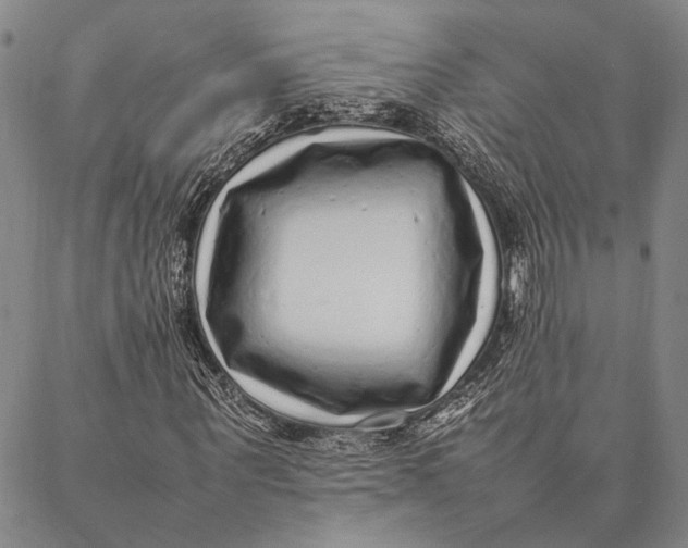 X0000087060867200705091158