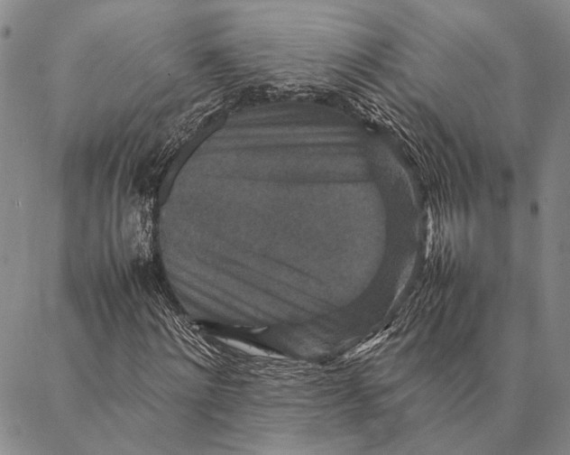 X0000087060868200705091158