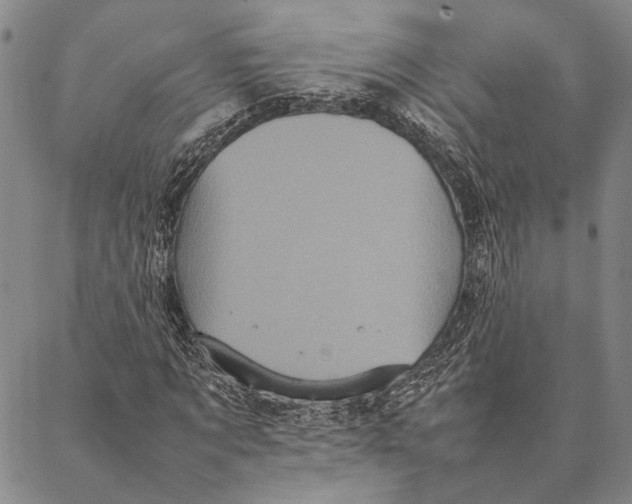 X0000087060869200705091158