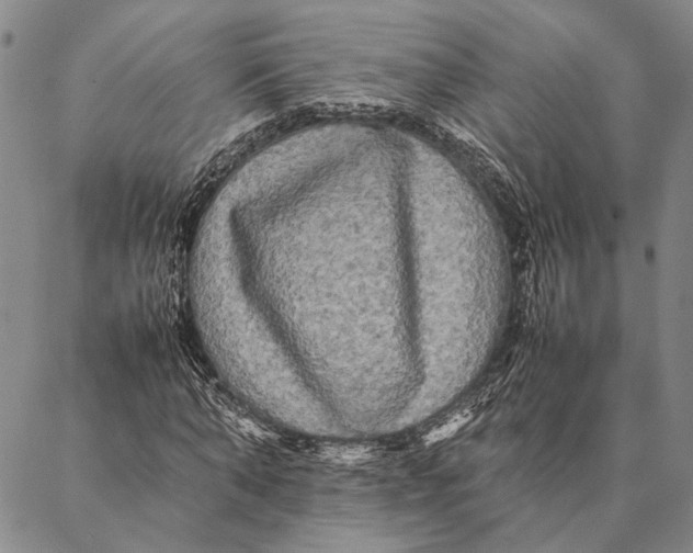 X0000087060870200705091158