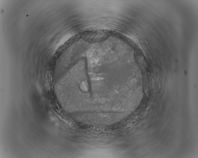 X0000087060871200705091158