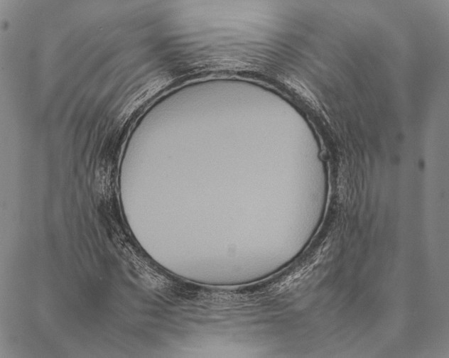 X0000087060873200705091158