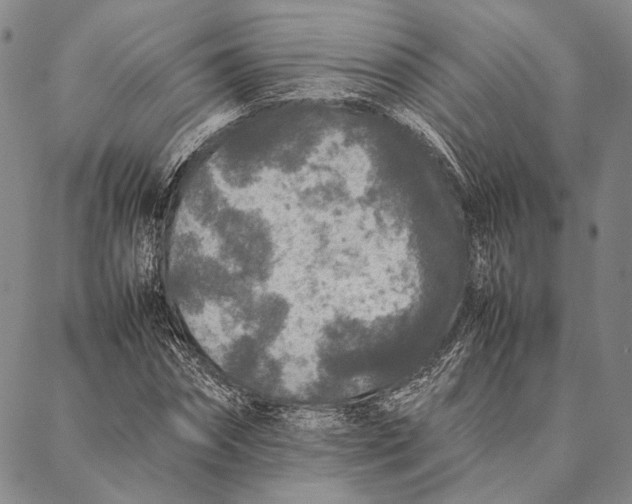 X0000087060874200705091158