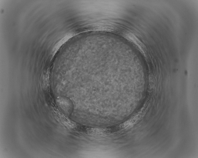 X0000087060875200705091158