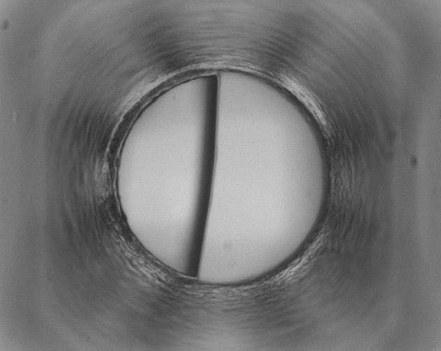 X0000087060876200705091158