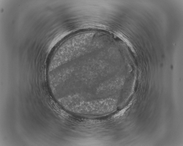 X0000087060877200705091158