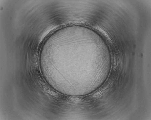 X0000087060878200705091158