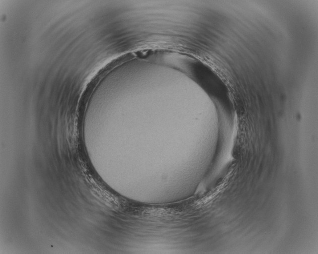 X0000087060880200705091158