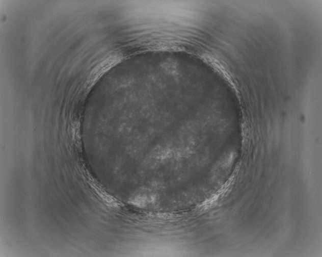 X0000087060881200705091158