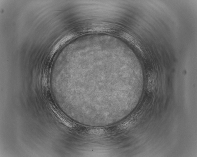 X0000087060882200705091158