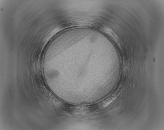 X0000087060883200705091158