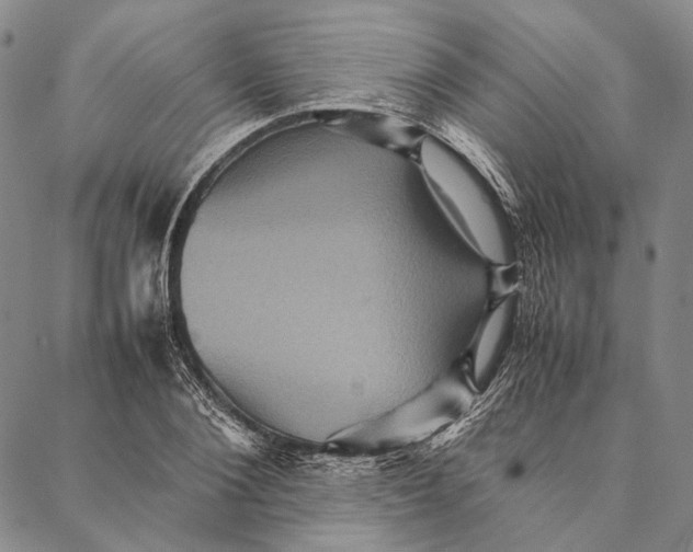 X0000087060884200705091158