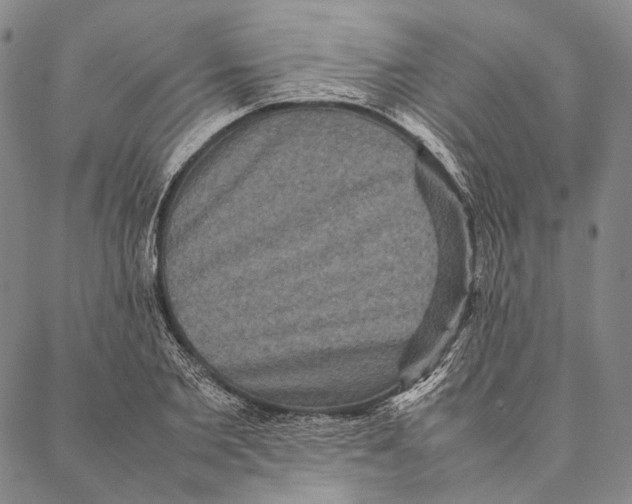 X0000087060885200705091158