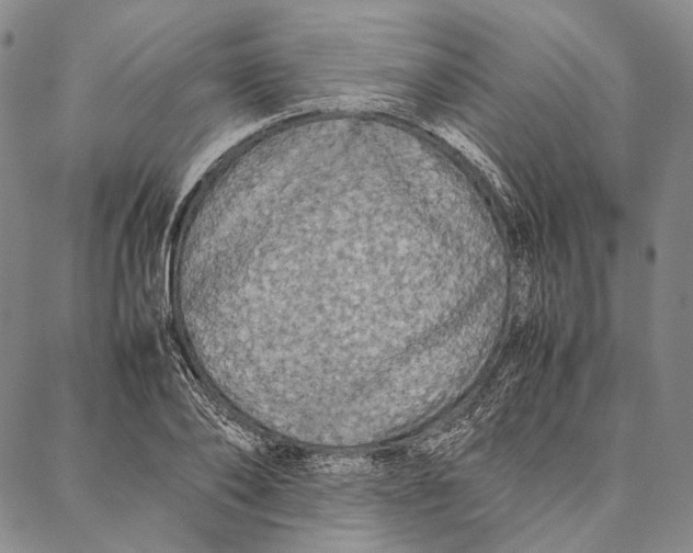 X0000087060886200705091158