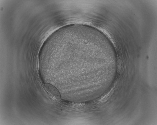 X0000087060887200705091158