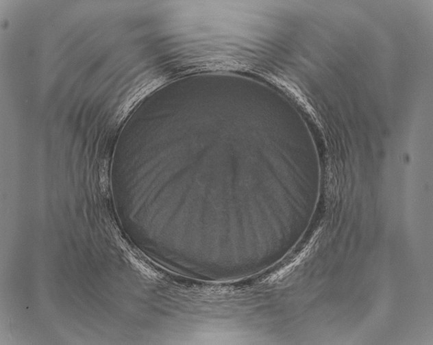 X0000087060889200705091158