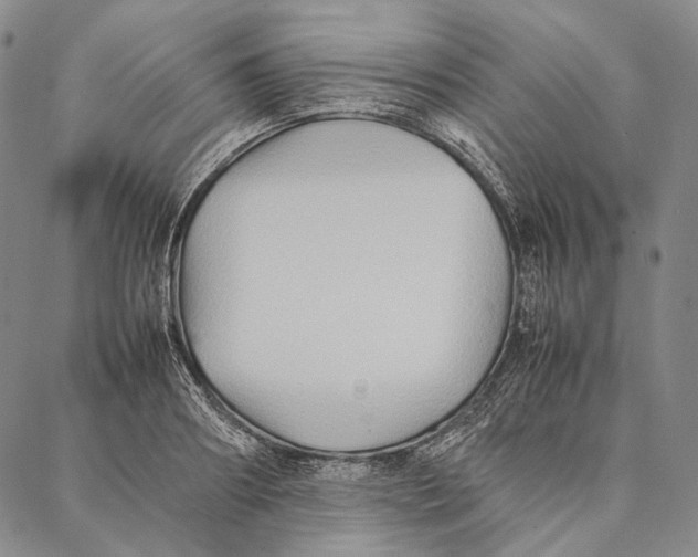 X0000087060890200705091158