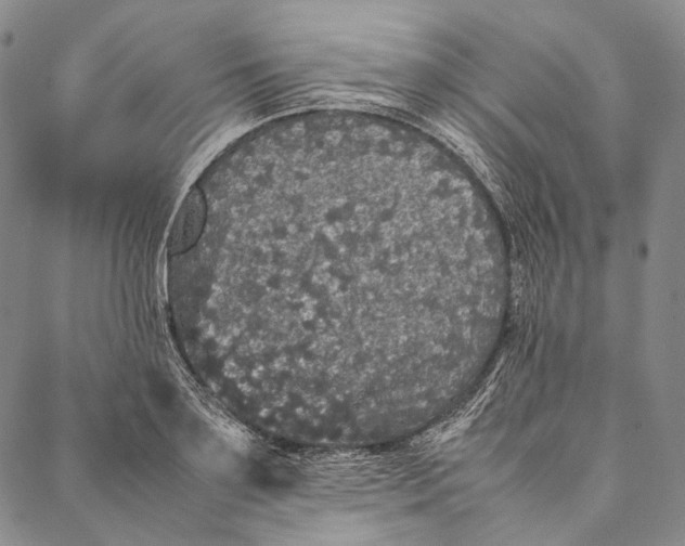 X0000087060891200705091158