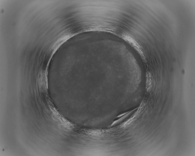 X0000087060892200705091158