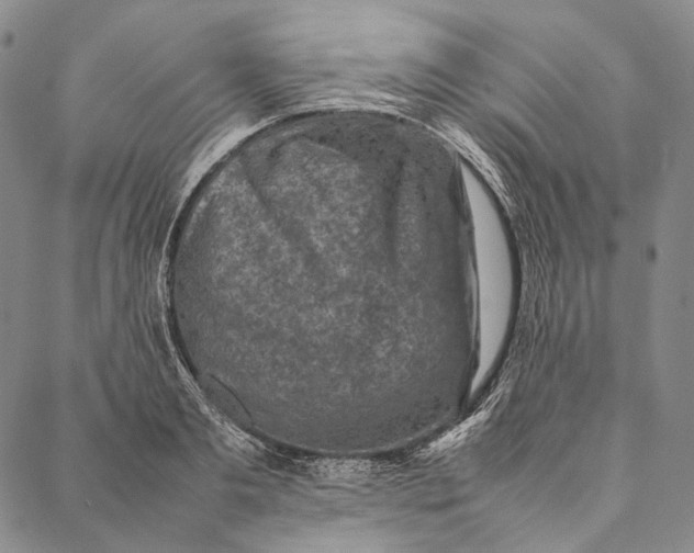 X0000087060893200705091158