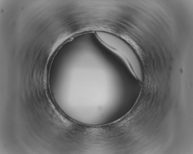 X0000087060894200705091157