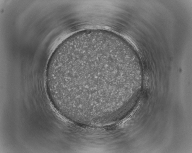 X0000087060895200705091157