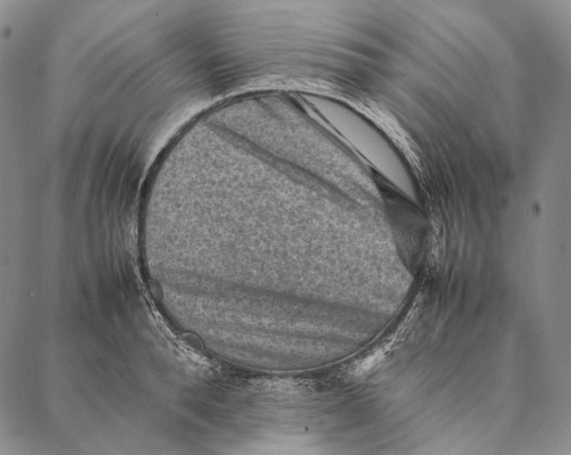 X0000087060896200705091157