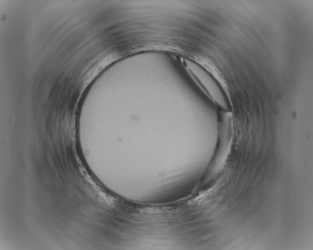 X0000087060898200705091157