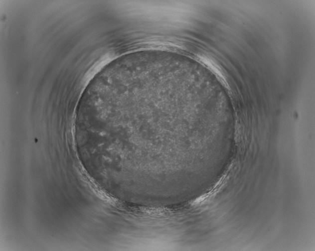 X0000087060899200705091157