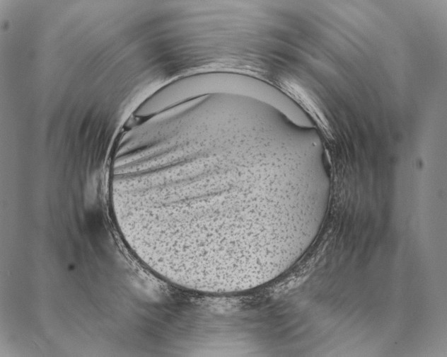 X0000087060900200705091157