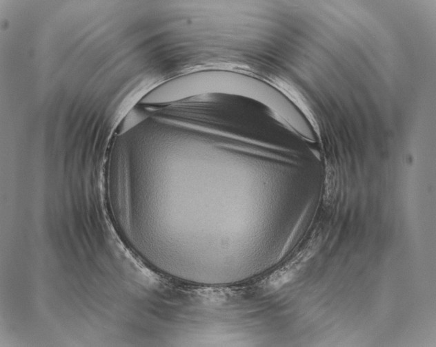 X0000087060906200705091157