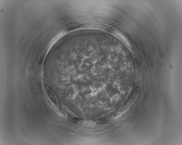 X0000087060907200705091157