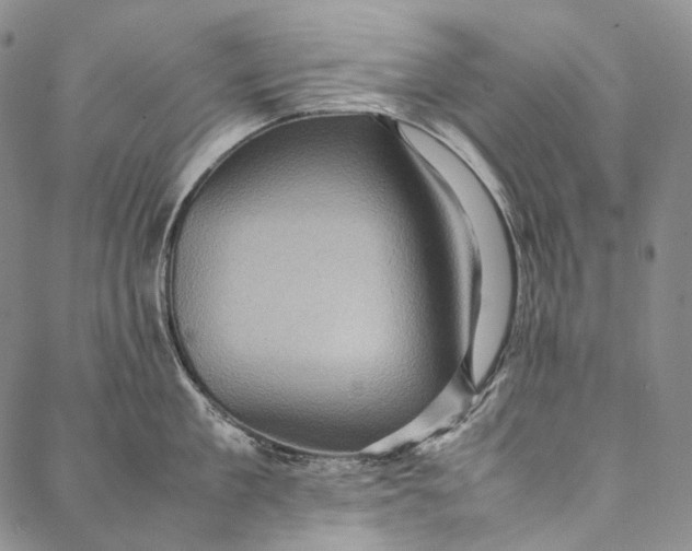 X0000087060909200705091157