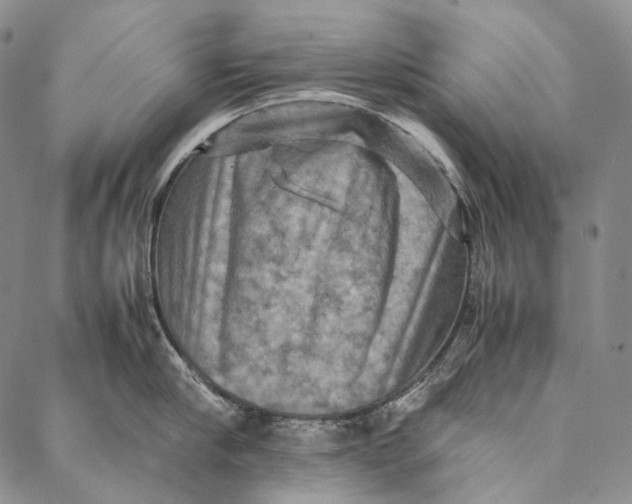 X0000087060910200705091157