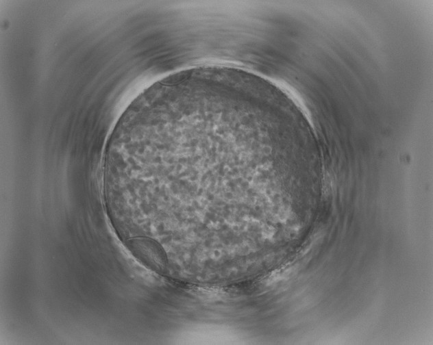 X0000087060911200705091157