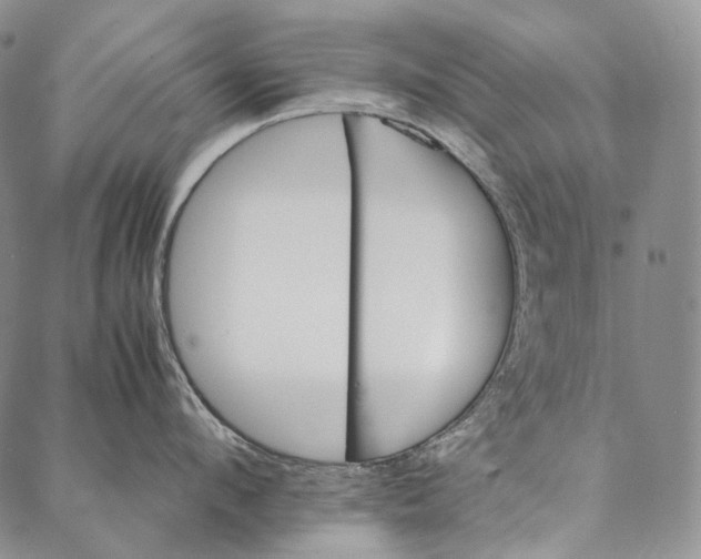 X0000087060912200705091157