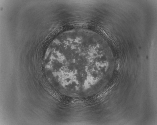 X0000087060913200705091156