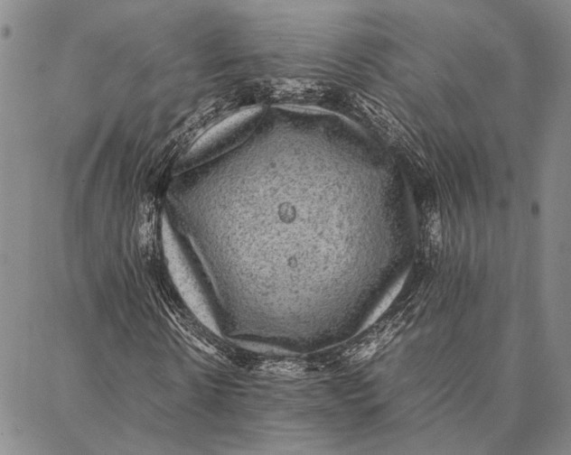 X0000087060914200705091156