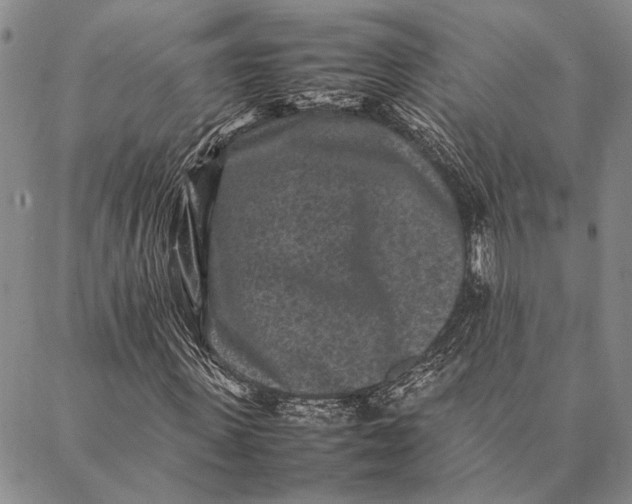 X0000087060915200705091156