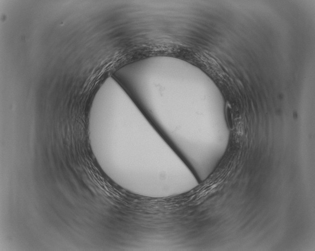 X0000087060916200705091156