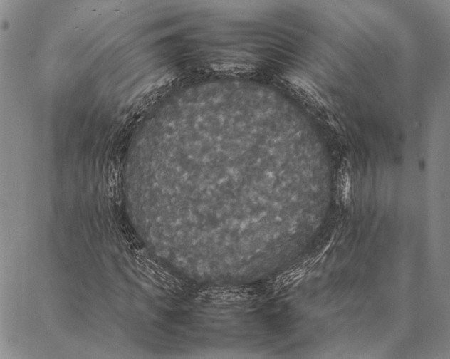 X0000087060917200705091157