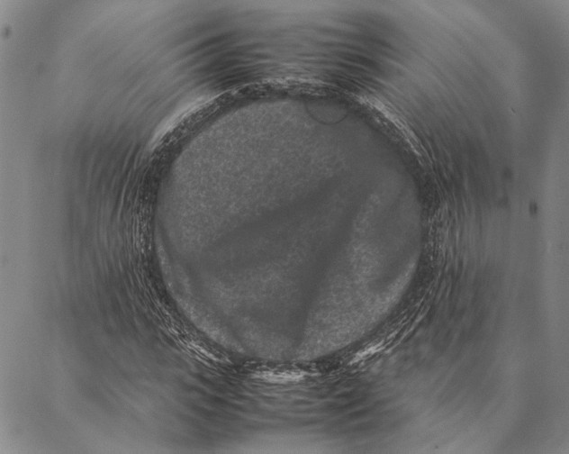 X0000087060919200705091157