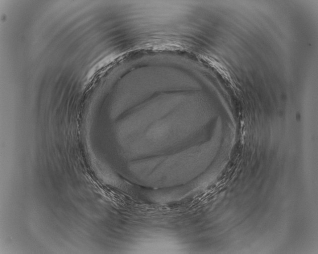 X0000087060920200705091157