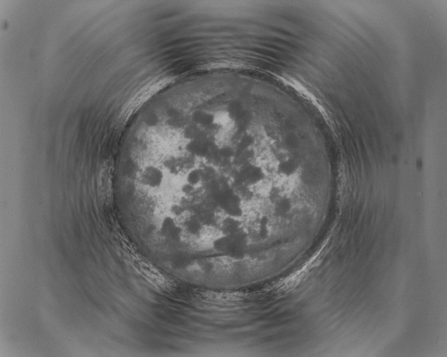 X0000087060921200705091157