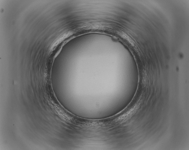 X0000087060922200705091157