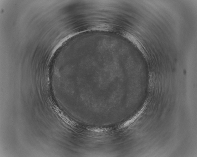 X0000087060923200705091157